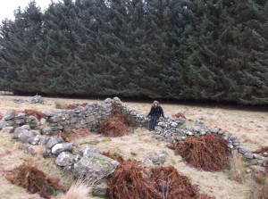 Old Bothy